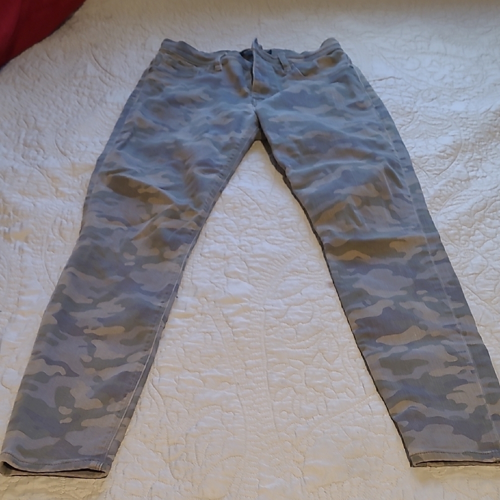 Hudson Jeans Camouflage Pants in Gray and Green
